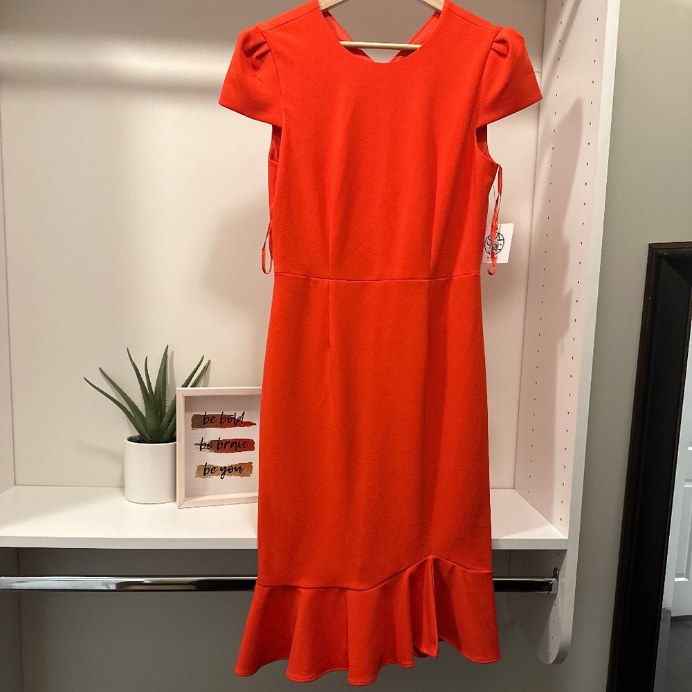 Ruffled Puff Sleeve Midi Dress